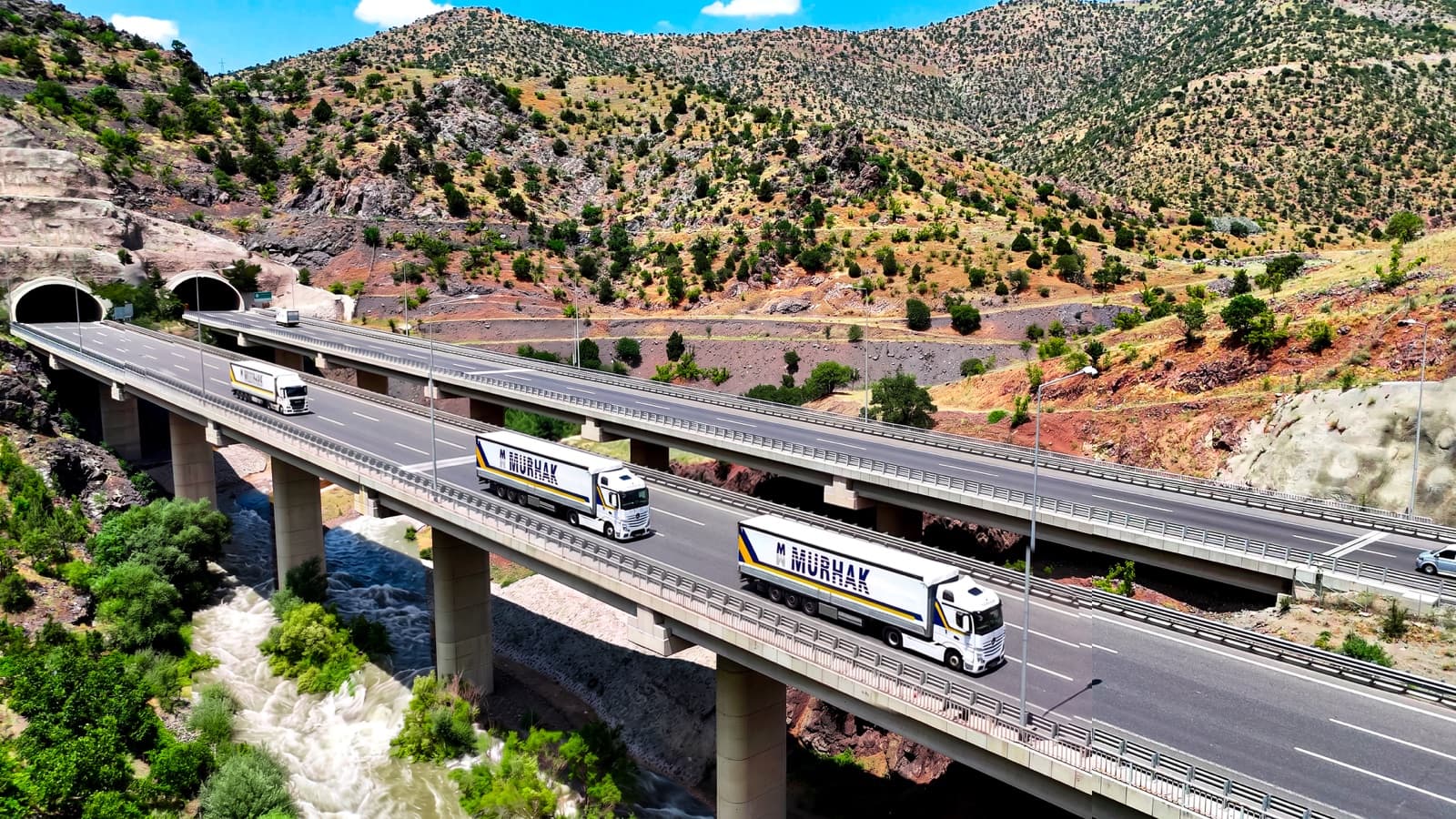 Filo Yönetimi & Yurt İçi Karayolu